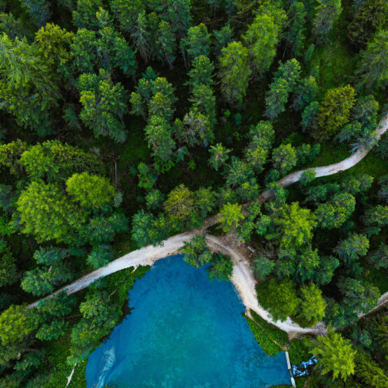 aerial-of-a-lake-in-the-forest-2026-03-16-01-20-37-utc